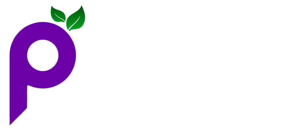 Plum AI Surveillance Monitoring